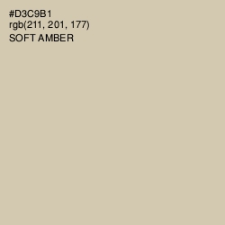 #D3C9B1 - Soft Amber Color Image
